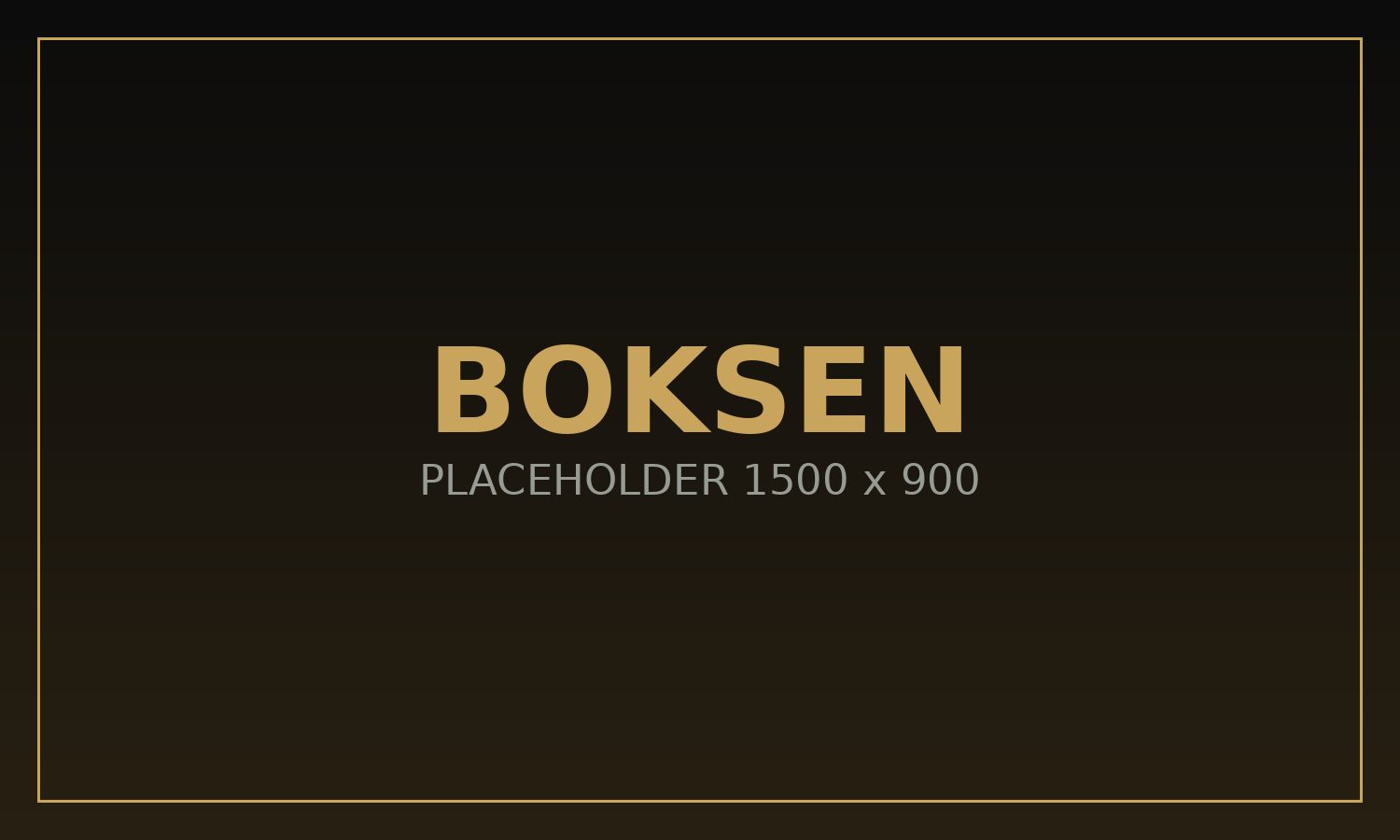 Placeholder: padstraining met bokshandschoenen.